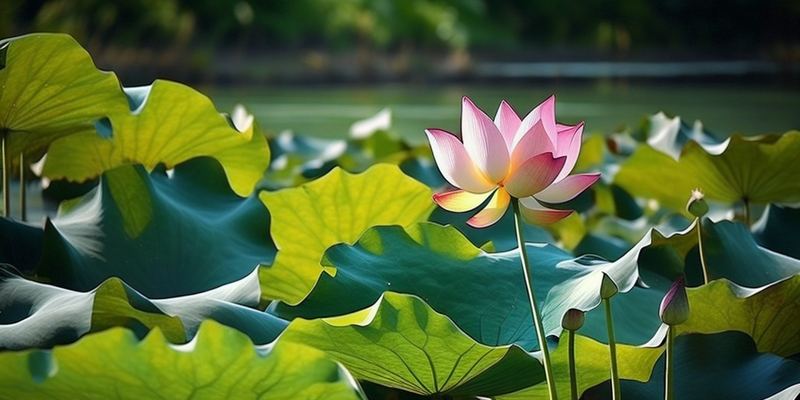 自律养成 | 考公考研失败怎么调整心态的亲身经历：从崩溃到释