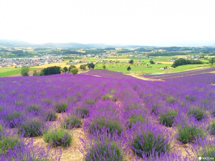 儿童分离焦虑怎么处理：一个过来人的血泪教训