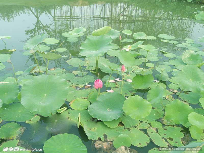全职妈妈焦虑怎么缓解？心理专家一针见血的分析(情感秘密)
