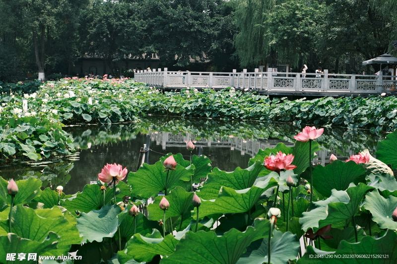 经常熬夜的危害有多大？先搞清楚这3个问题再做决定