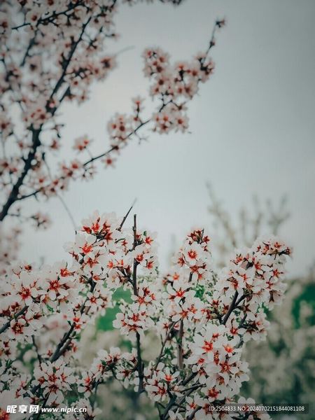 离婚后女人怎么活出自己自救手册：从今天开始改变