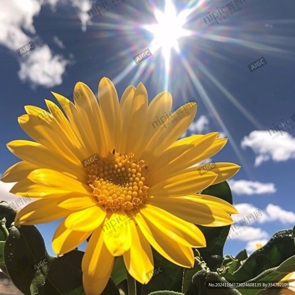 夫妻之间如何保持持久的吸引力（真实案例）