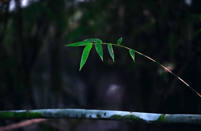 代际疗愈 | 原生家庭伤害了孩子怎么弥补？心理咨询师给你说几