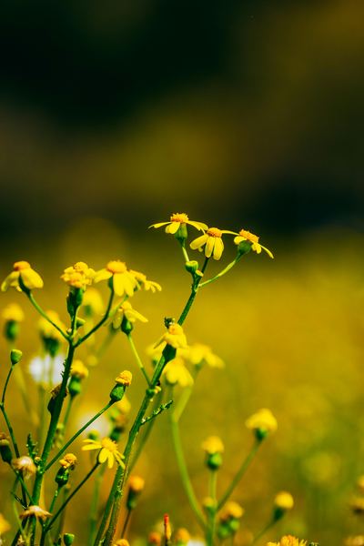 【中年危机】一位心理咨询有用吗要花多少钱的读者来信，看哭了无