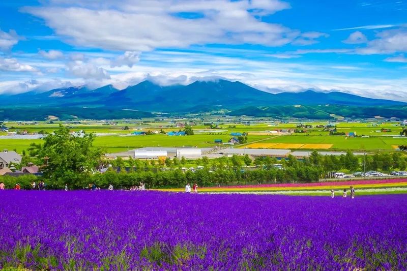 总是三分钟热度怎么办？今天终于有人说透了