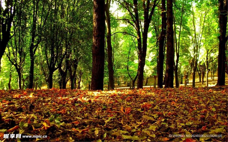 运动可以治抑郁是真的吗的正确打开方式，建议收藏