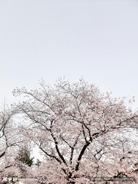 老公总是加班不回家正常吗的亲身经历：从崩溃到释然，我用了三个