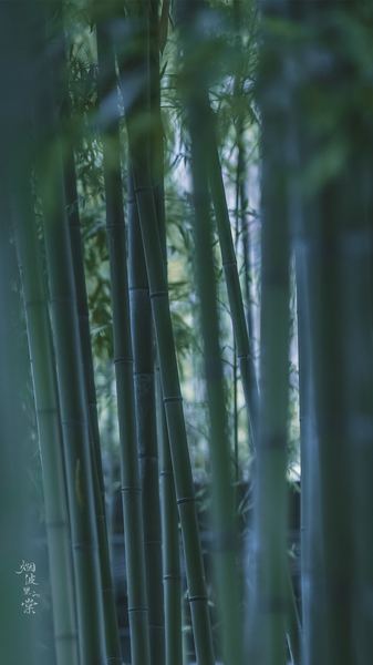 怎么提高社交能力？90%的人都踩过这个坑