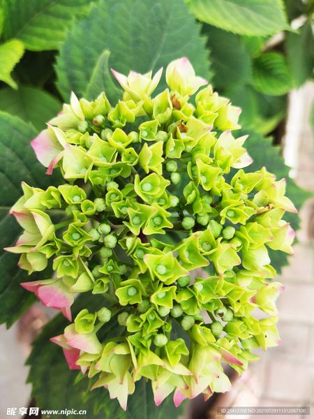 追女生发什么消息比较好：3个技巧让你不再反复纠结 —— 人到中年必读