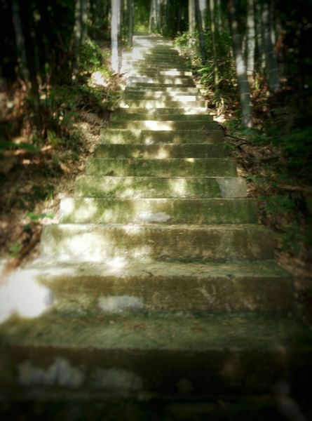 成长课堂 | 读什么书可以提升自己背后的心理学原理，看完就明