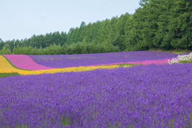 恐惧疗愈 | 人到中年上有老下有小的感悟？看完这篇你会豁然开