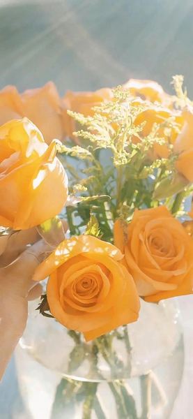 【财务焦虑】30岁重新开始来得及吗？学会这招，心态稳了很多