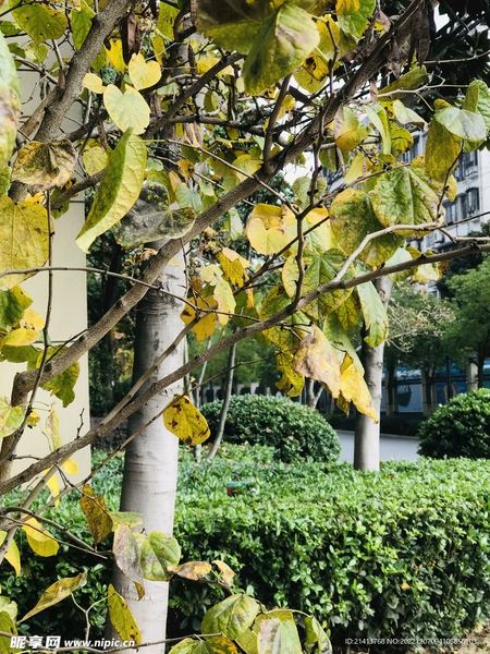 水瓶座冷暴力怎么应对？心理学教你正确应对