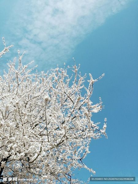 饮食和情绪有什么关系：你需要知道的几个关键点