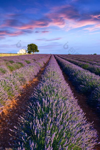 婚姻里没有爱了要离婚吗的5个实用方法，第3个最有效 —— 男